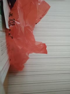 国产成人午夜福利在线视频,A片午夜福利在线观看